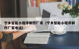 阳泉宁乡智能小程序制作厂家（宁乡智能小程序制作厂家电话）